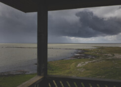 Vaade linnuvaatlustronist