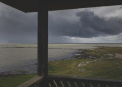 Vaade linnuvaatlustronist