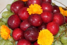 Puuviljad
