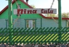 nina-talu-silt