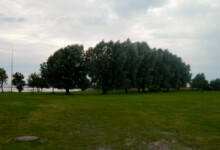 Puise Nina talu